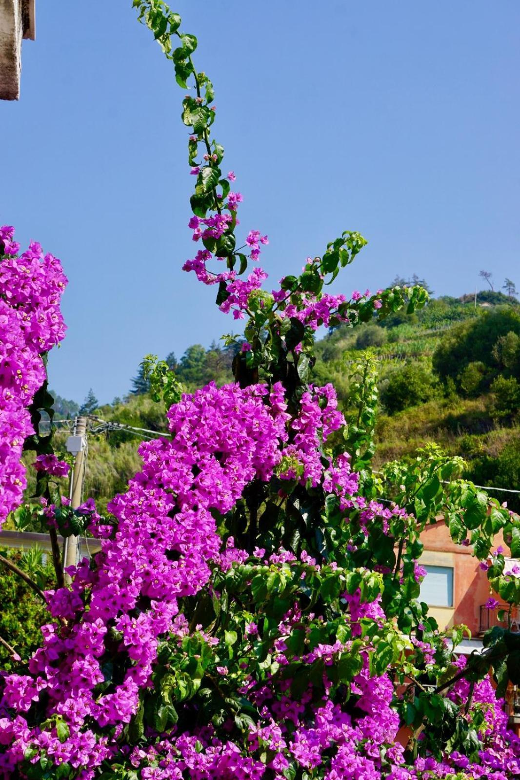 Appartamento Le Conchiglie Monterosso Al Mare Luaran gambar