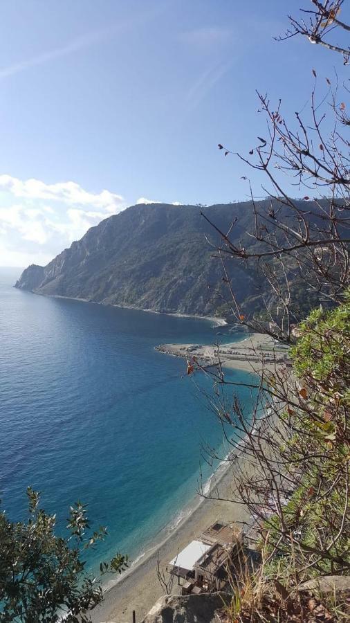 Appartamento Le Conchiglie Monterosso Al Mare Luaran gambar