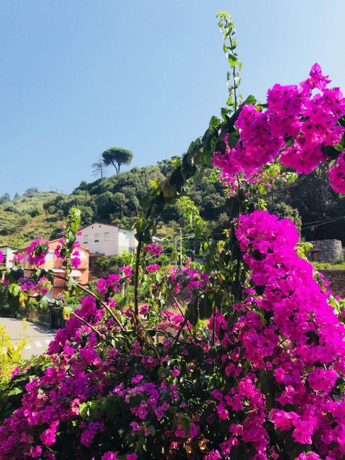 Appartamento Le Conchiglie Monterosso Al Mare Luaran gambar